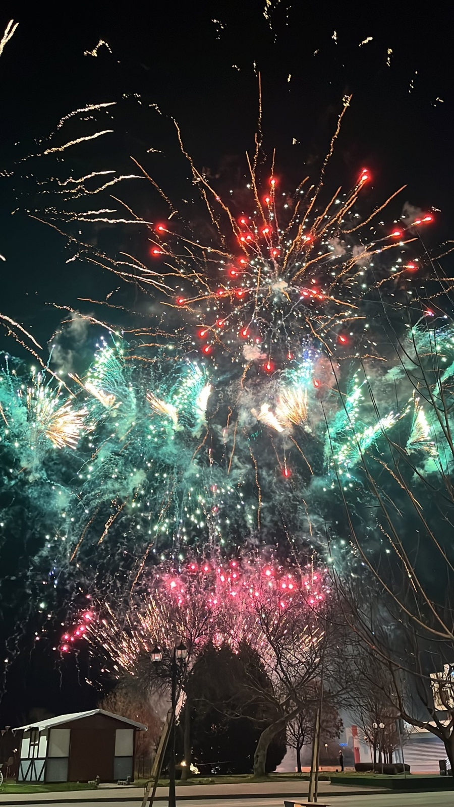 С грандиозна заря започна новата 2026 година в Козлодуй