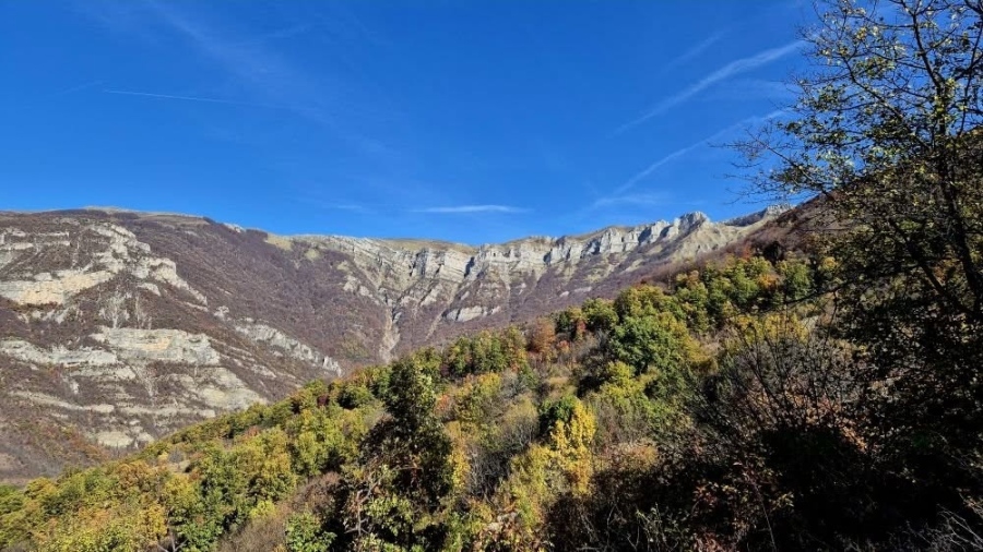 Успешна година за опазването на лешоядите в Природен парк „Врачански Балкан“ отчитат от администрацията на парка