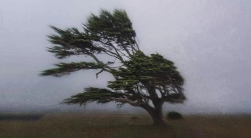 Вижте какво ще бъде времето днес