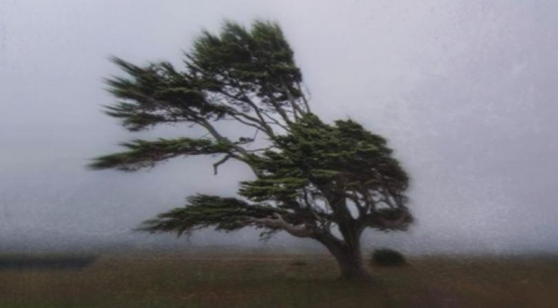Силен вятър остави няколко села в Монтанско без ток