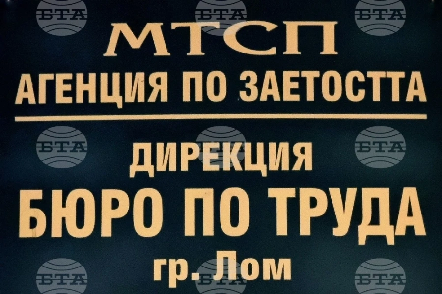 Три свободни позиции за висшисти са обявени в Бюрото по труда в Лом