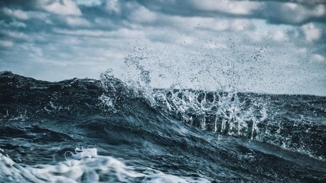 Тревожен сигнал за климата: 2025 г. е била най-топлата в историята на Северно море