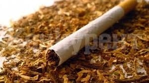 300 гр. нарязан тютюн без бандерол иззеха полицаите във Видин