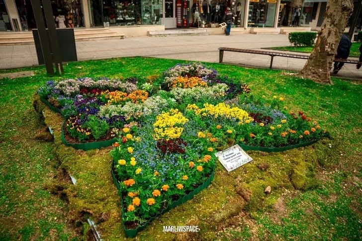 Ново озеленяване и още паркинги ще има във Враца