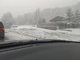Откриха три трупа в хижа в Петрохан