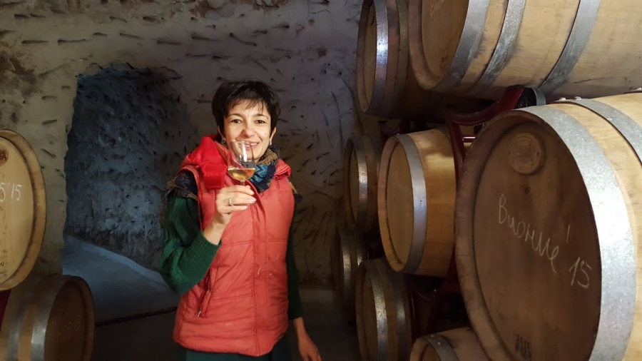 14 винарни  от Видин до Велико Търново отварят врати за посетители