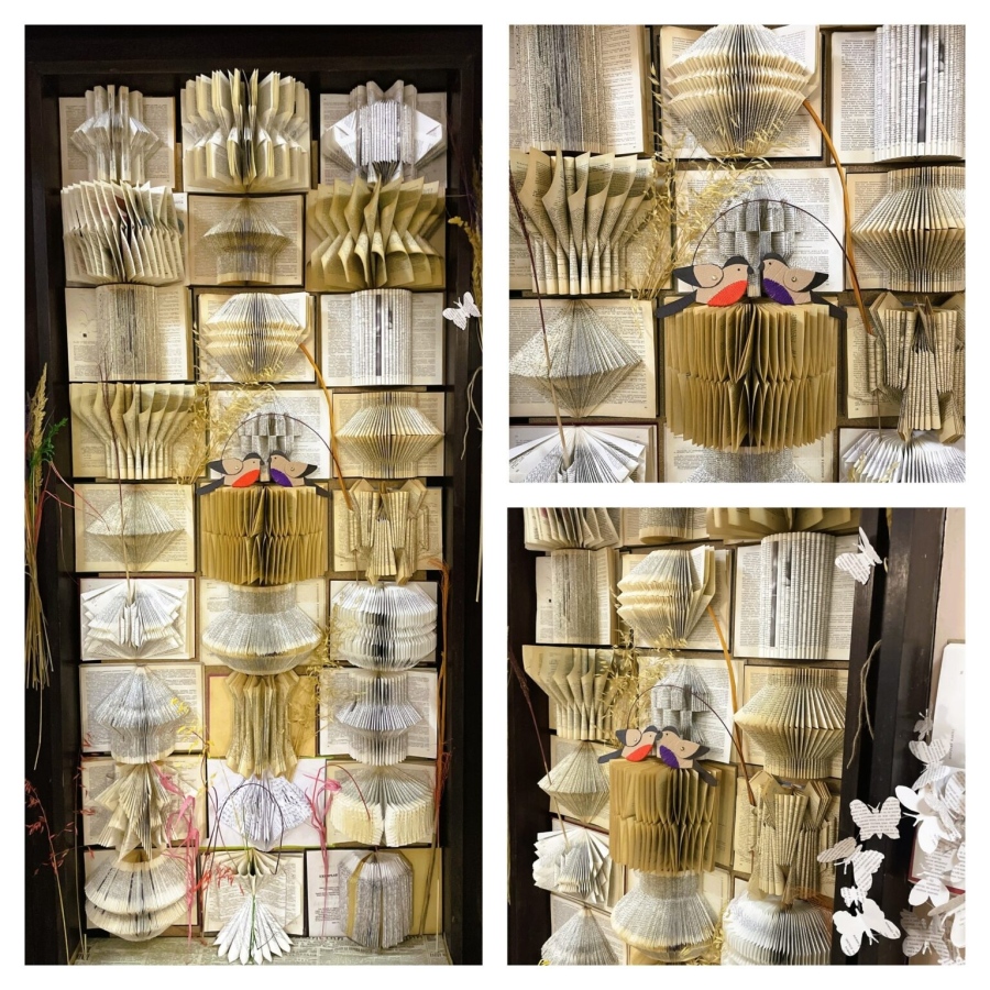 Нов живот на старите книги дават библиотекари от Видин