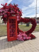 Козлодуй ще се превърне в сцена за традиция, вино и любов
