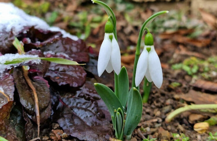 В петък ще е предимно слънчево с температури между 7° и 12°