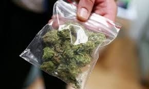 Откриха канабис в жилище, обитавано от непълнолетно момиче