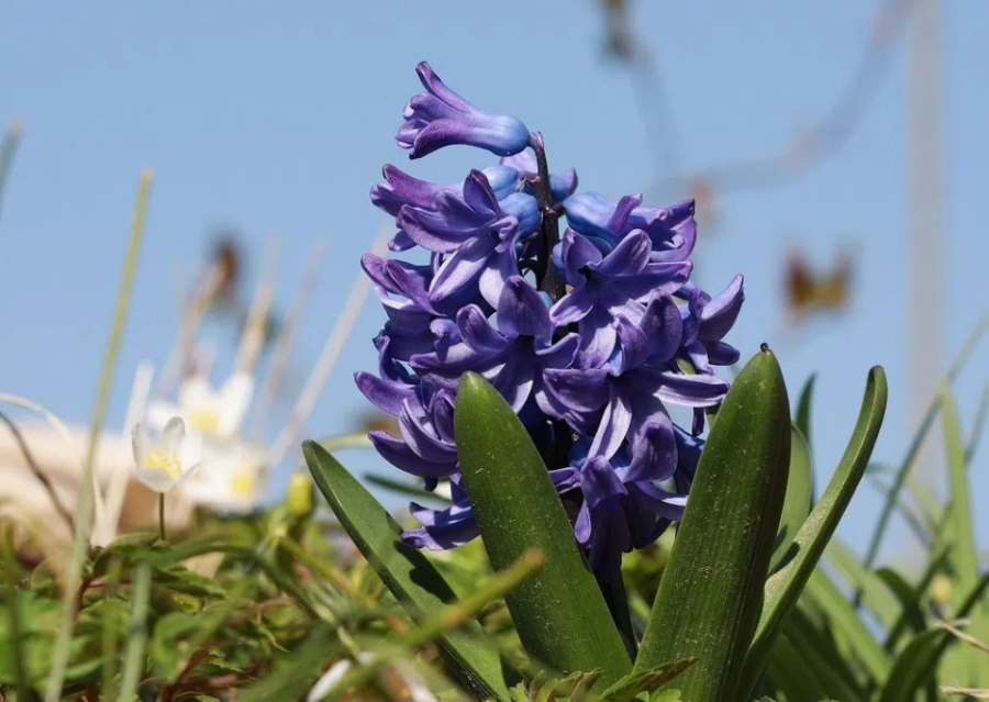 Ето какво време ни очаква в съботния ден