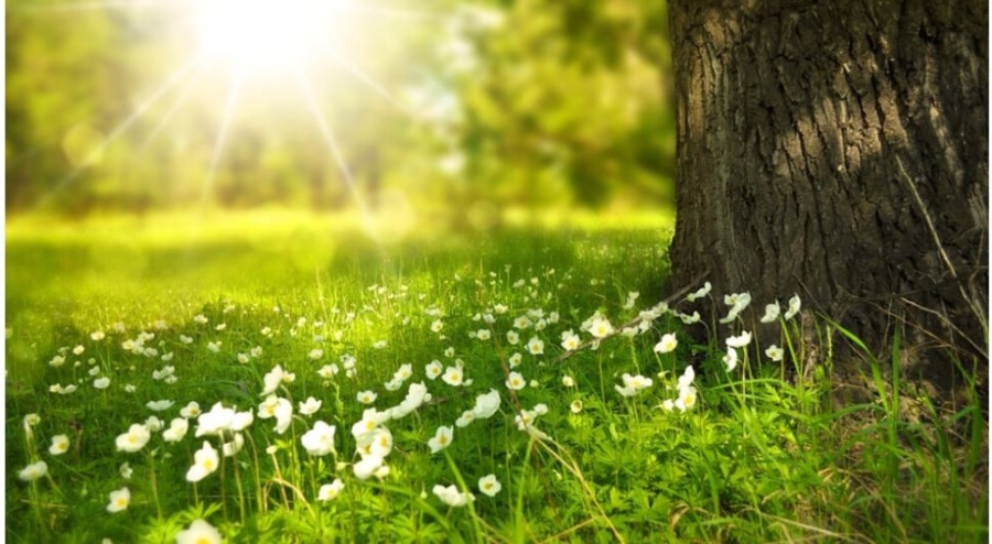 Предимно слънчево време в неделя