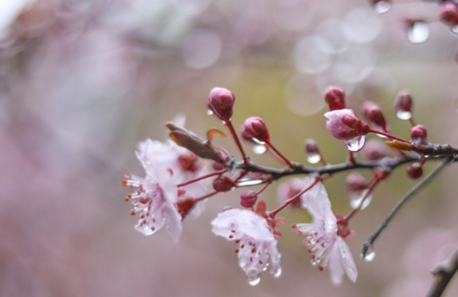 Времето днес: Значителна облачност и превалявания в Западна България