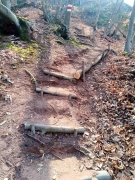 Напредва изграждането на новия пешеходен парк \