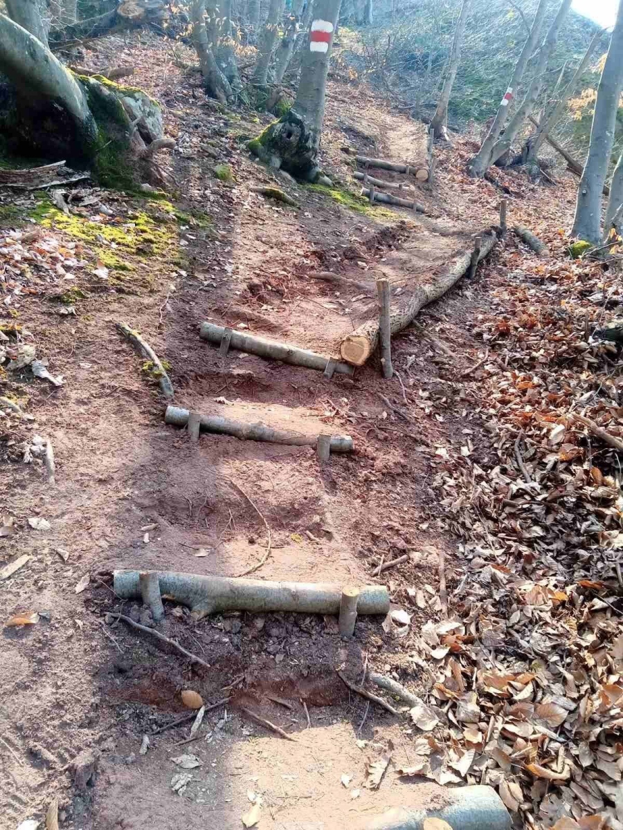 Напредва изграждането на новия пешеходен парк \