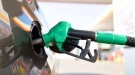 НАП ще публикува ежедневно средната цена на дизела и бензин А95