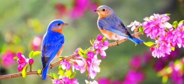 Слънчев и топъл четвъртък, с температури в Северозапада до 20°