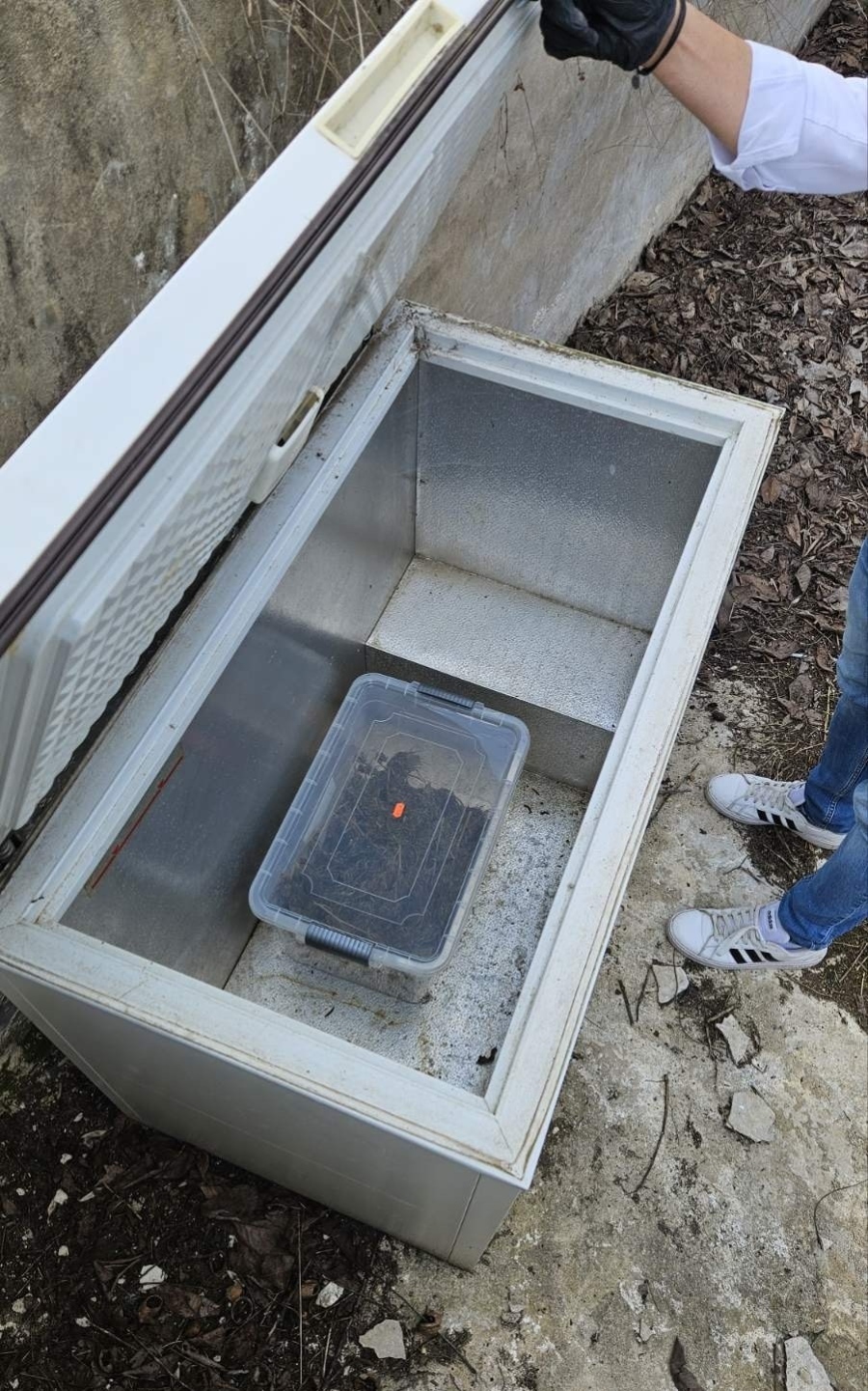 Прибраха в ареста двама за дрога