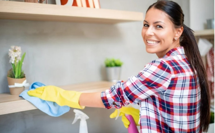 Колко често трябва да почистваме праха у дома