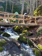 ТП ДГС ГОВЕЖДА – МОСТ КЪМ ПРИРОДАТА И ХОРАТА