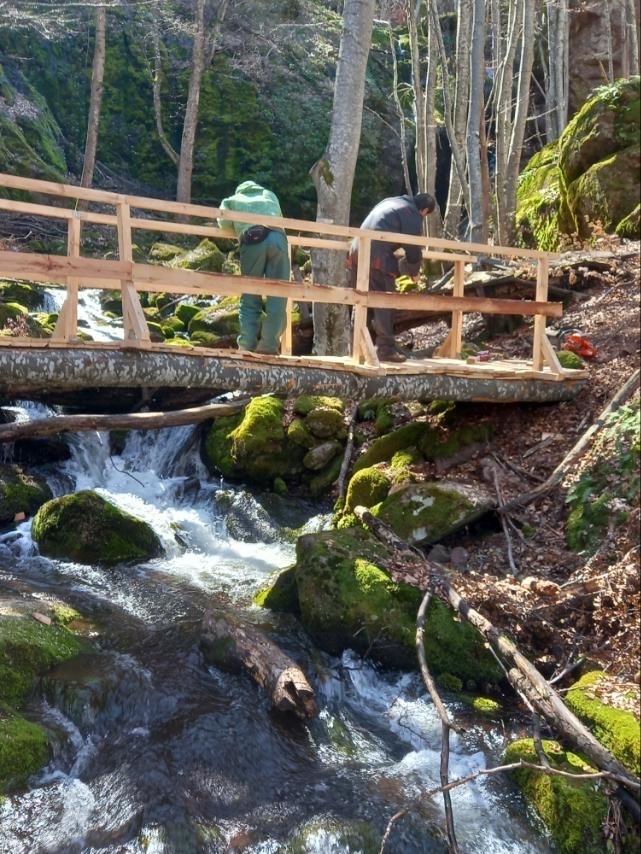 ТП ДГС ГОВЕЖДА – МОСТ КЪМ ПРИРОДАТА И ХОРАТА