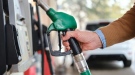 Въпреки поскъпването от близо 40% при дизела: Продажбите на горива са се увеличили през март