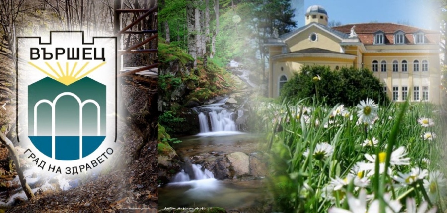 Вършец спечели 350 00 евро за талантливите си деца