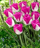 Вижте какво време ни очаква в събота