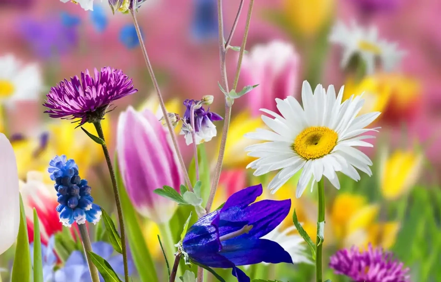 Времето днес с температури до 22°