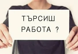Учител, логопед и психолог се търсят в Лом