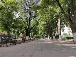 Намаление на криминалните престъпления отчита полицията в Мизия