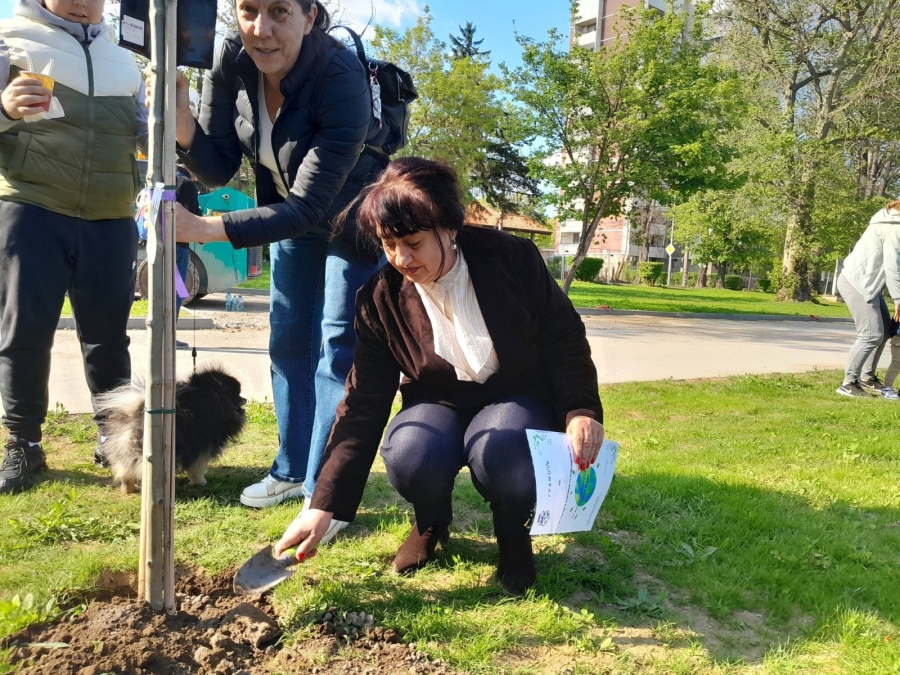 Десетки доброволци се включиха в залесяването на Крайдунавския парк