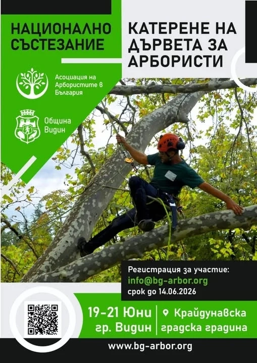 Във Видин организират „Катерене на дървета за арбористи“