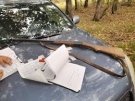 Задържаха мъж отстрелял дивеч, нямал разрешително