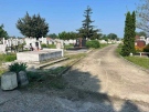 Община Видин осигурява безплатен транспорт за Черешова задушница