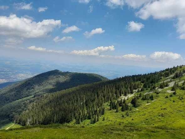 За десета поредна година община Берковица организира празничен поход \