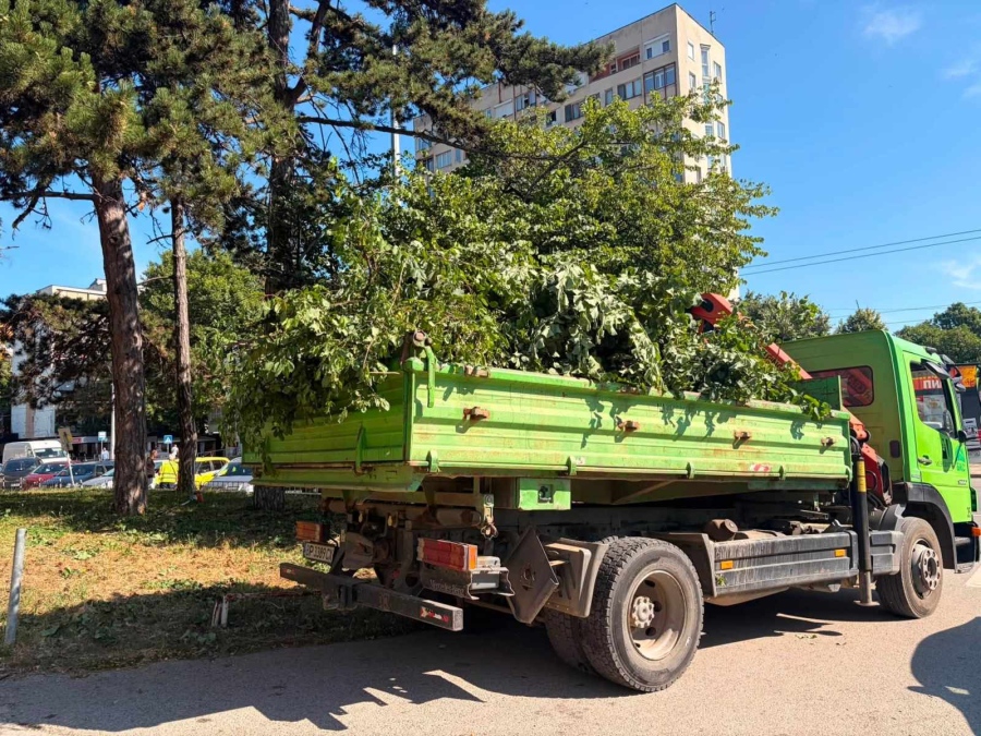Продължава поддържането на зелените площи и градската среда във Враца