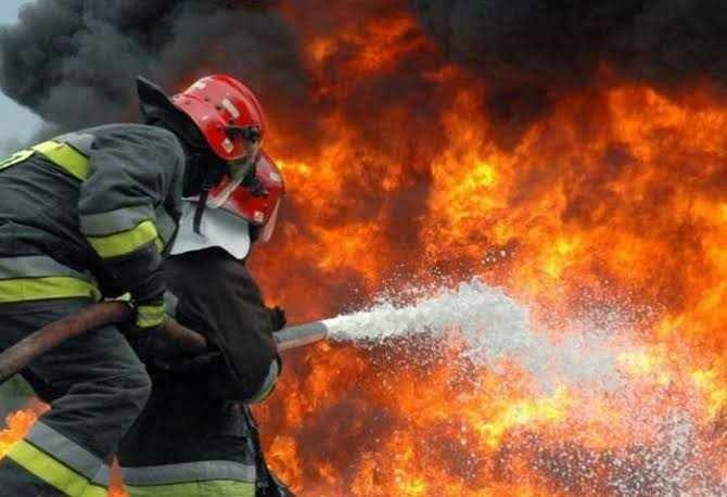Шест пожара този укенд във Видинско, изгоряха къща, 50 птици и 20 декара жито