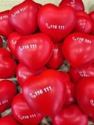 13 500 са обажданията на Националната телефонна линия за деца 116 111 на Държавната агенция за закрила на детето за първите шест месеца на годината