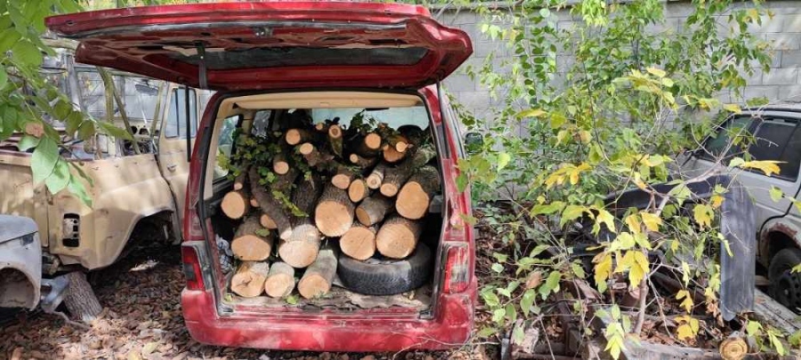 Иззеха автомобил и 16 кубика дърва без документи край Мездра