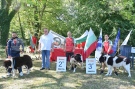Над 70 български овчарски кучета дефилираха на киноложка изложба във Вършец