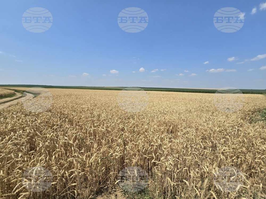 Цената на нивите в област Враца достига 2286 лева за декар през 2025 г., сочат данни на НСИ