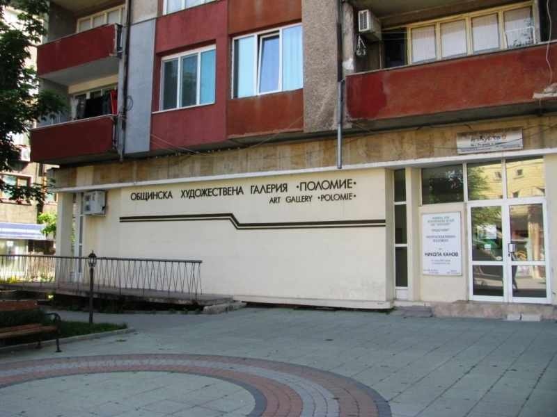Продължава драмата с името на художествената галерия в Лом, съветниците решават отново на 17 август
