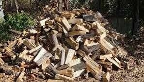 Хванаха видинчанка с 3 кубика незаконни дърва