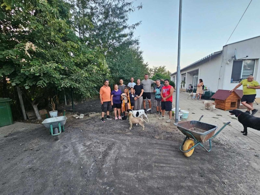 Доброволци почистиха и облагородиха приюта за кучета във Видин