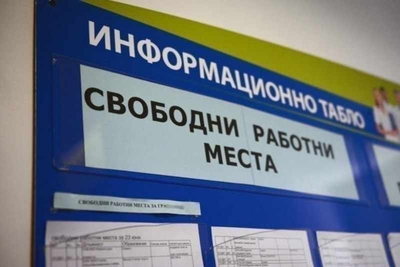Останали сте без работа? Ето от какви кадри се нуждаят в област Видин