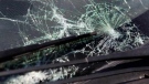 Жена хвана дървения прът и помля паркирано БМВ във Вършец