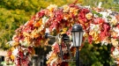 Есенна магия и музикални мотиви завладяха центъра на Враца